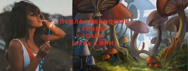 шишки Лиски