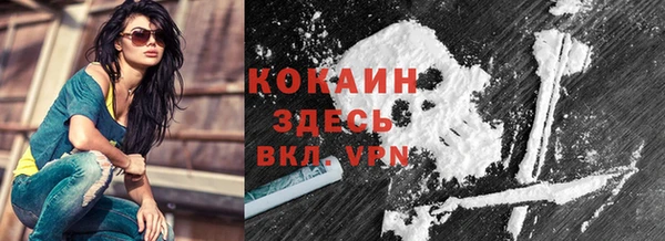 ГАЛЛЮЦИНОГЕННЫЕ ГРИБЫ Лагань