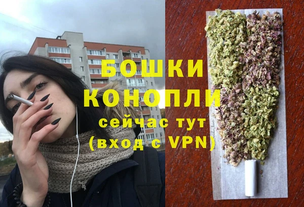 шишки Лиски